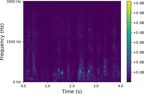 Spectrum 9